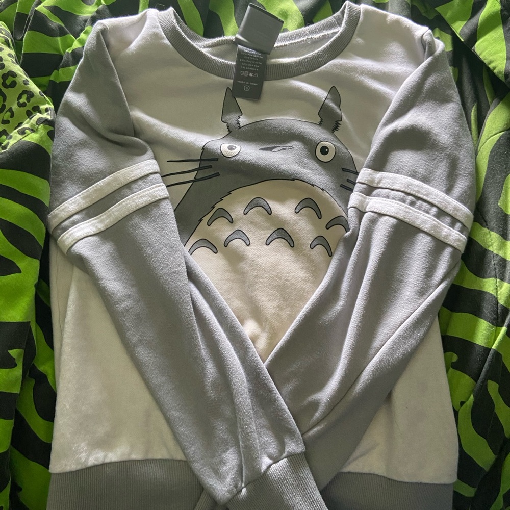 Totoro sweatshirt